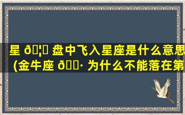 星 🦄 盘中飞入星座是什么意思(金牛座 🌷 为什么不能落在第八宫)